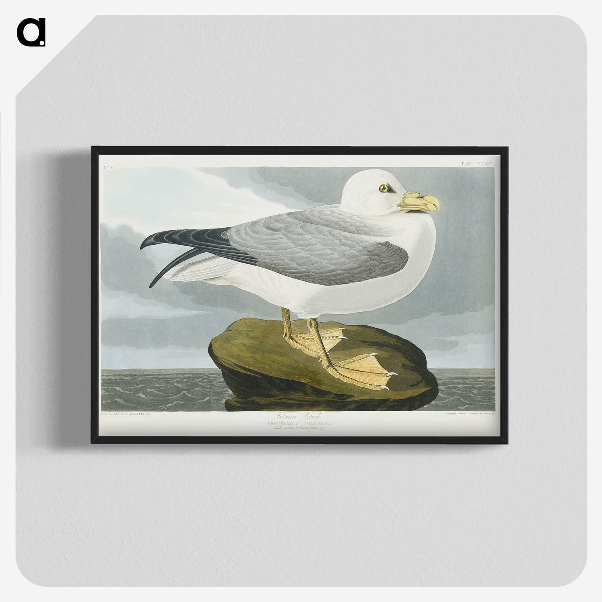 1-61_John-James-Audubon_blk-crop