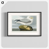 1-61_John-James-Audubon_blk