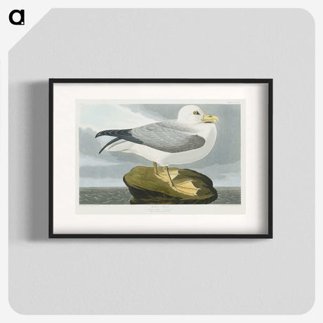 1-61_John-James-Audubon_blk