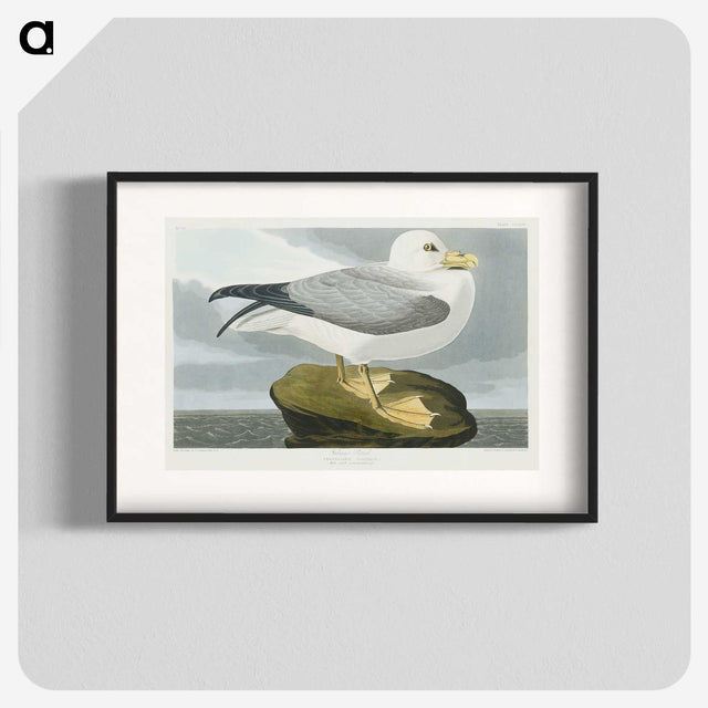 1-61_John-James-Audubon_blk