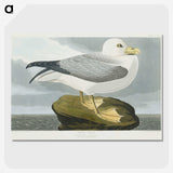 1-61_John-James-Audubon_picture-crop