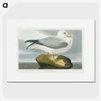 1-61_John-James-Audubon_picture