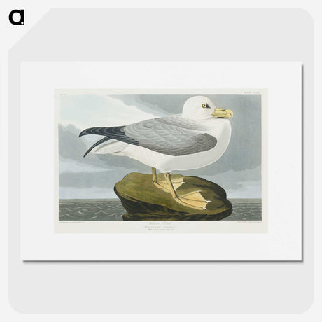 1-61_John-James-Audubon_picture