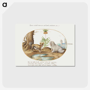 1-61_Joris-Hoefnagel_postcard