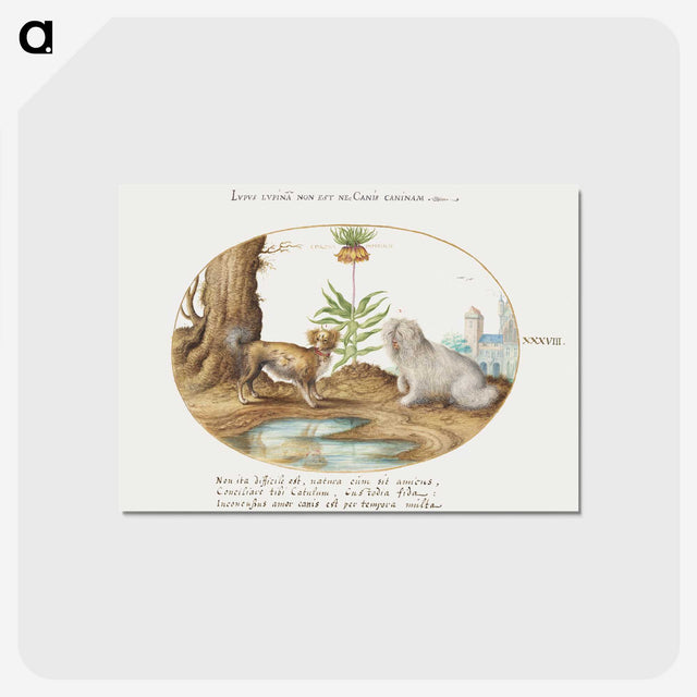 1-61_Joris-Hoefnagel_postcard