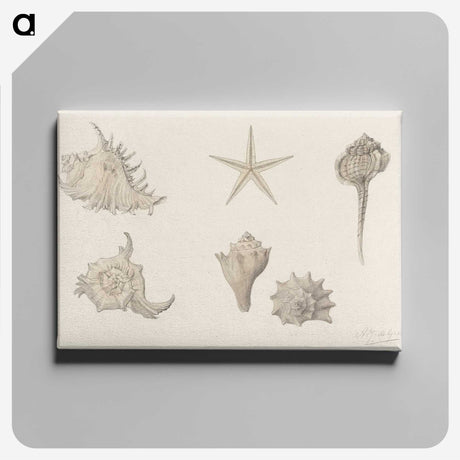 1-61_Julie-de-Graag_canvas