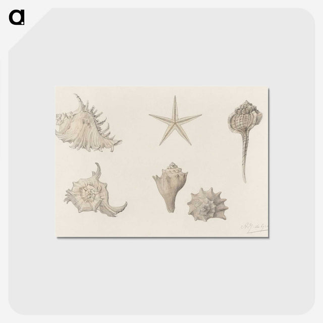 1-61_Julie-de-Graag_postcard