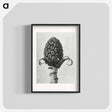 アートポスター-Petasites Officinalis (Butterbur) - カール ブロスフェルト Poster.
