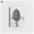 1-61_Karl-Blossfeldt_memo