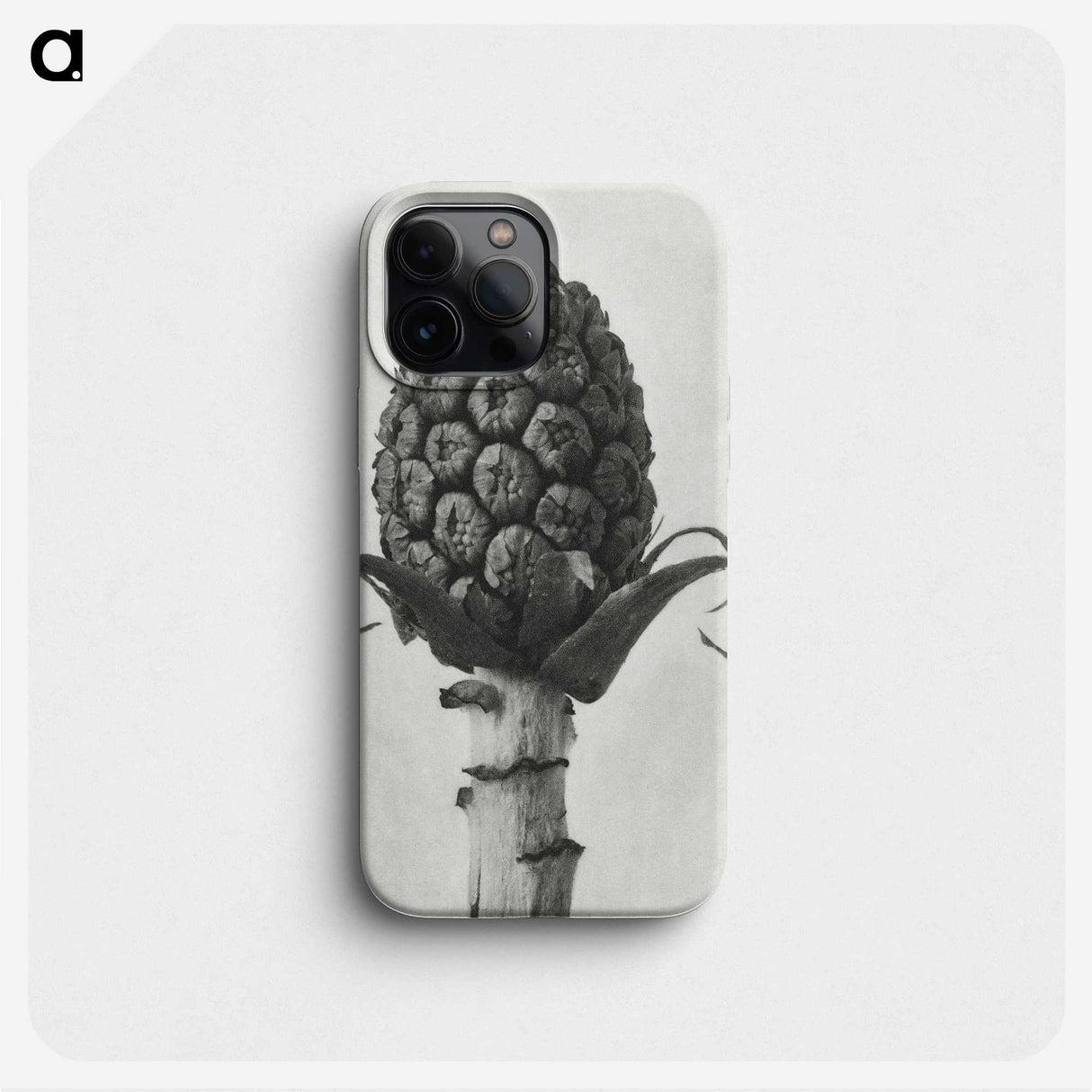 1-61_Karl-Blossfeldt_phone