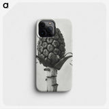1-61_Karl-Blossfeldt_phone