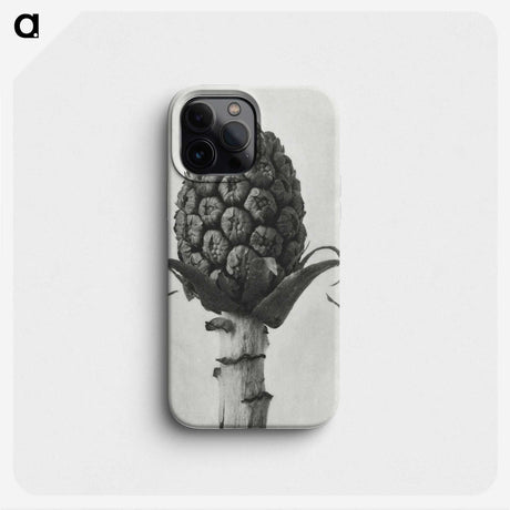 1-61_Karl-Blossfeldt_phone