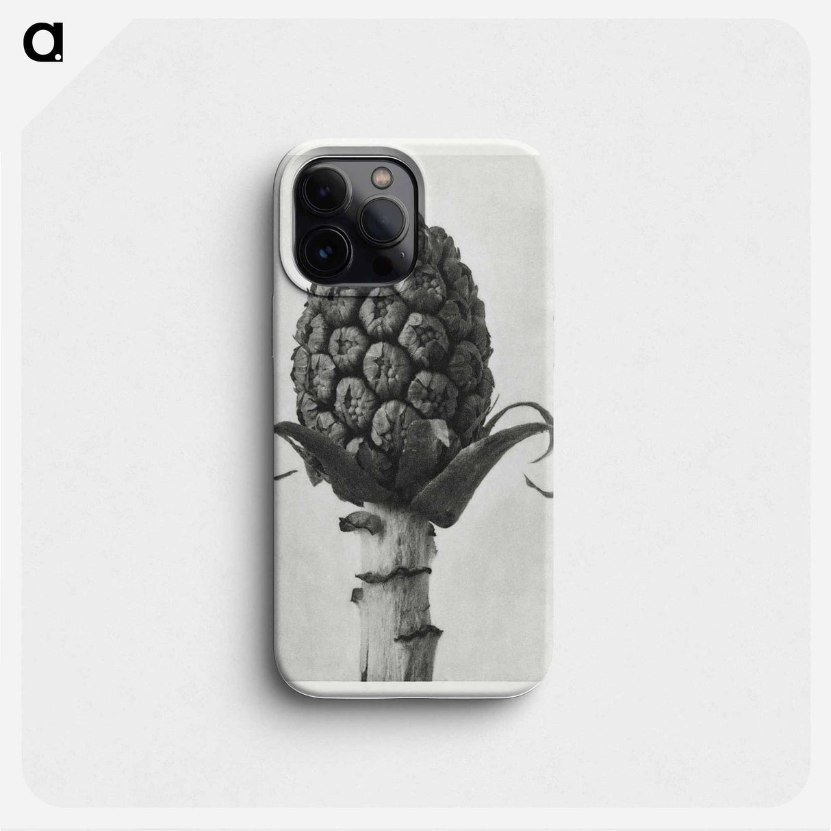 Petasites Officinalis (Butterbur) - カール ブロスフェルト Phone Case.