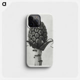 Petasites Officinalis (Butterbur) - Karl Blossfeldt Phone Case.