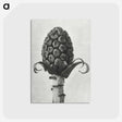 1-61_Karl-Blossfeldt_postcard