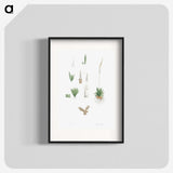 1-61_La-Botanique_blk