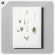 1-61_La-Botanique_canvas