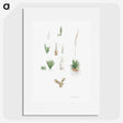 1-61_La-Botanique_picture
