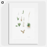1-61_La-Botanique_picture