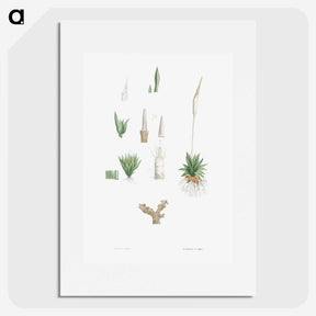 1-61_La-Botanique_picture