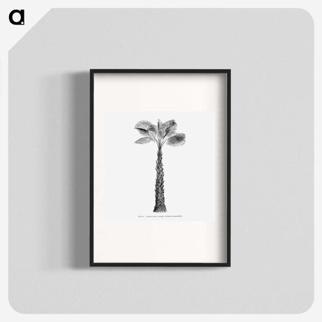 1-61_Les-Palmiers-Histoire-Iconographique_blk
