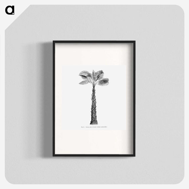 1-61_Les-Palmiers-Histoire-Iconographique_blk