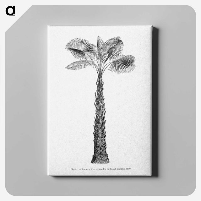 1-61_Les-Palmiers-Histoire-Iconographique_canvas