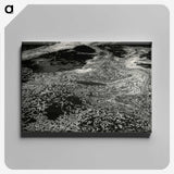 1-61_Leslie-Adkin_canvas