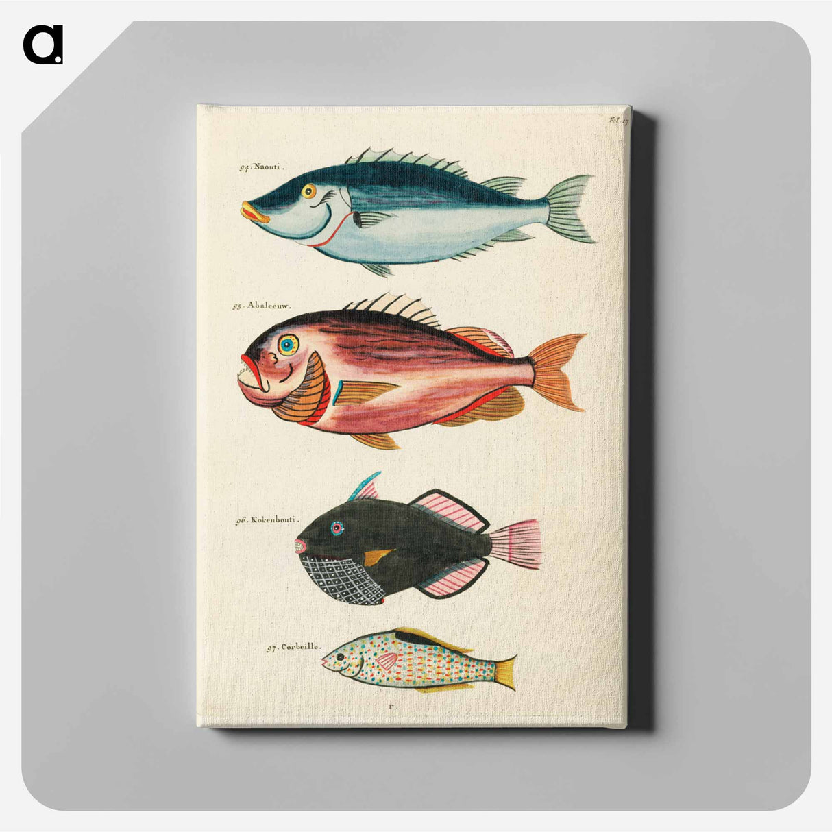 アートパネル-Moluccan Fishes
 - ルイ ルナール Canvas.