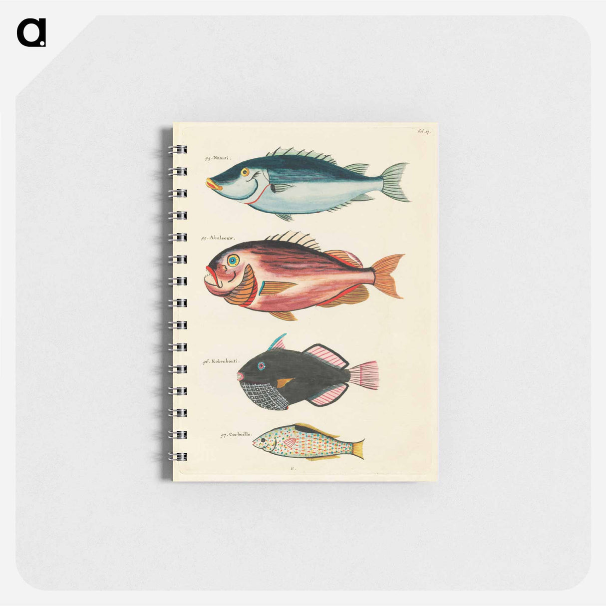 Moluccan Fishes
 - ルイ ルナール Memo.
