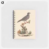 Animals and Birds: Drawings from The Bruce Archive
 - ルイージ バルガーニ Memo.
