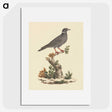 1-61_Luigi-Balugani_picture