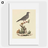 1-61_Luigi-Balugani_picture