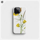 1-61_Mary-Vaux-Walcott_phone