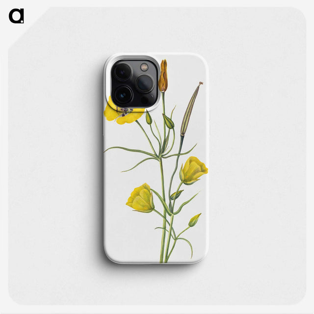 1-61_Mary-Vaux-Walcott_phone