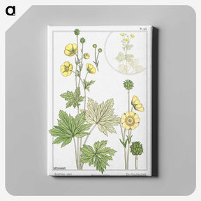 1-61_Maurice-Pillard-Verneuil_canvas