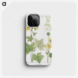 1-61_Maurice-Pillard-Verneuil_phone