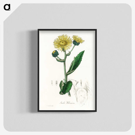 1-61_Medical-Botany_blk-crop