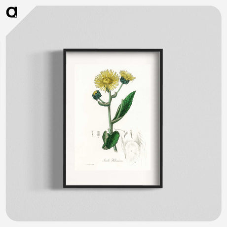 1-61_Medical-Botany_blk