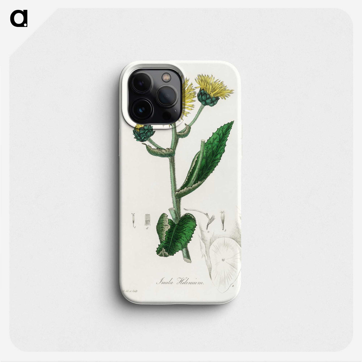 1-61_Medical-Botany_phone