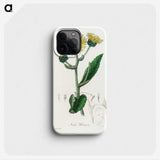 1-61_Medical-Botany_phone