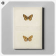 1-61_Moths-and-Butterflies-of-the-United-States_canvas