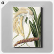 1-61_Native-Flowering-Plants-of-New-Zealand_canvas