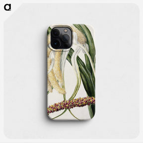 1-61_Native-Flowering-Plants-of-New-Zealand_phone