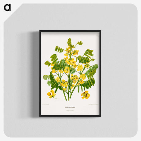 1-61_Nederlandsche-Flora-en-Pomona_blk-crop