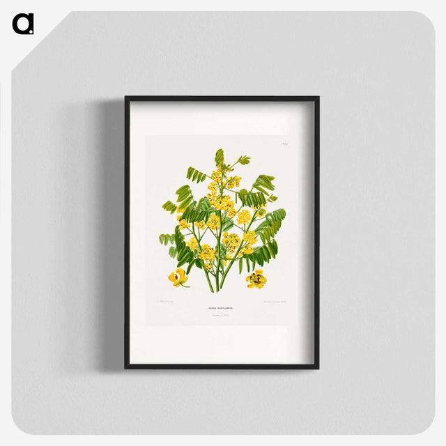 1-61_Nederlandsche-Flora-en-Pomona_blk