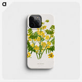 1-61_Nederlandsche-Flora-en-Pomona_phone