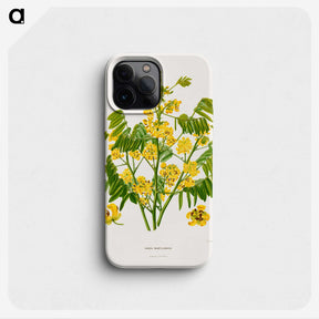 1-61_Nederlandsche-Flora-en-Pomona_phone