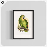 1-61_Parrots-in-Captivity_blk