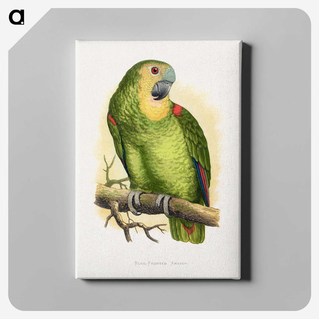 1-61_Parrots-in-Captivity_canvas